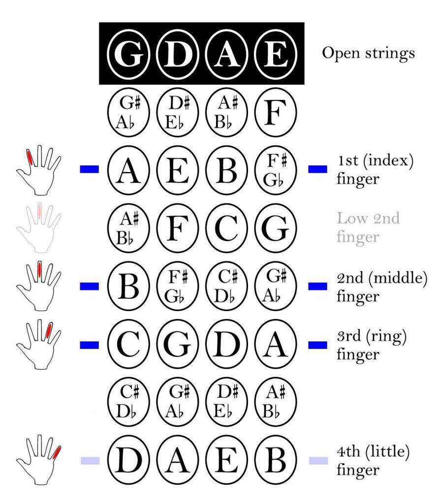 Violin Notes and Finger Placement | NewViolinist