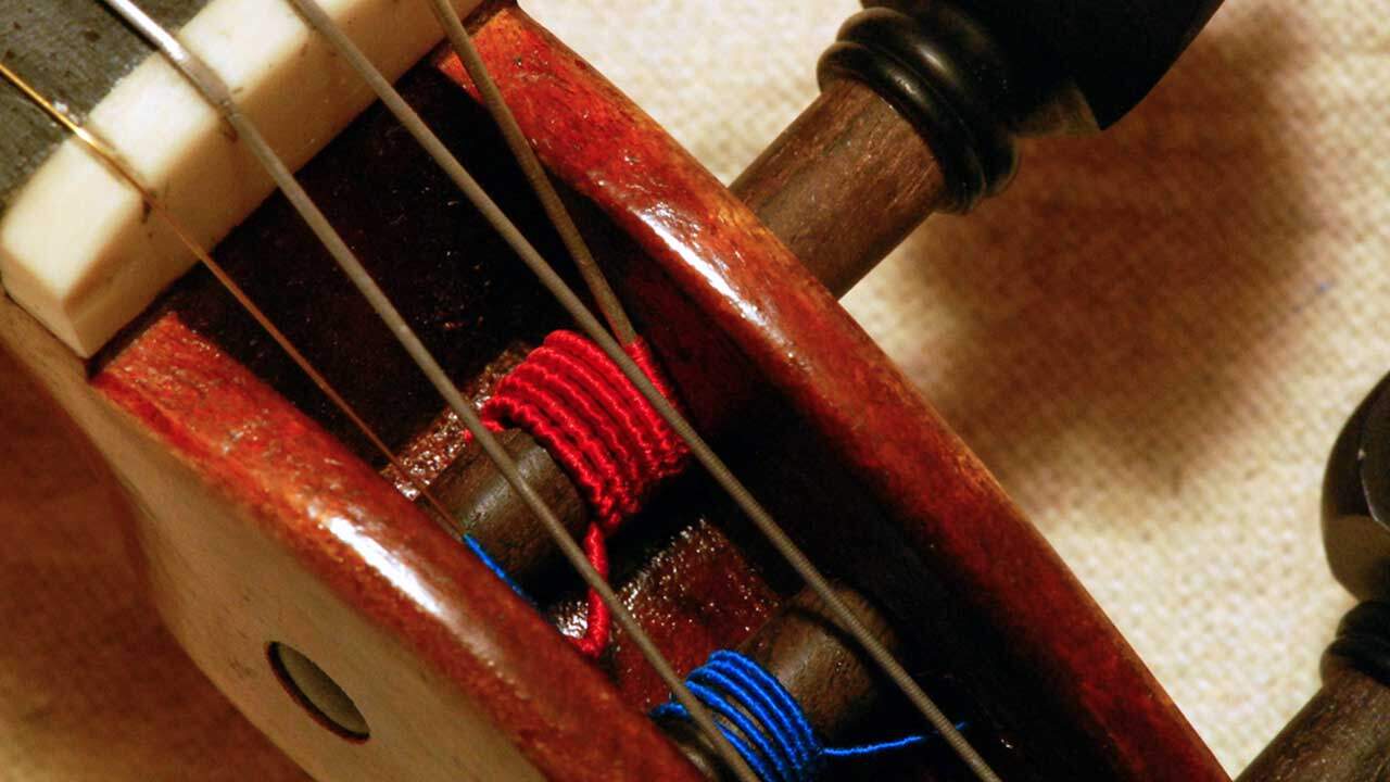 Violin Pegbox