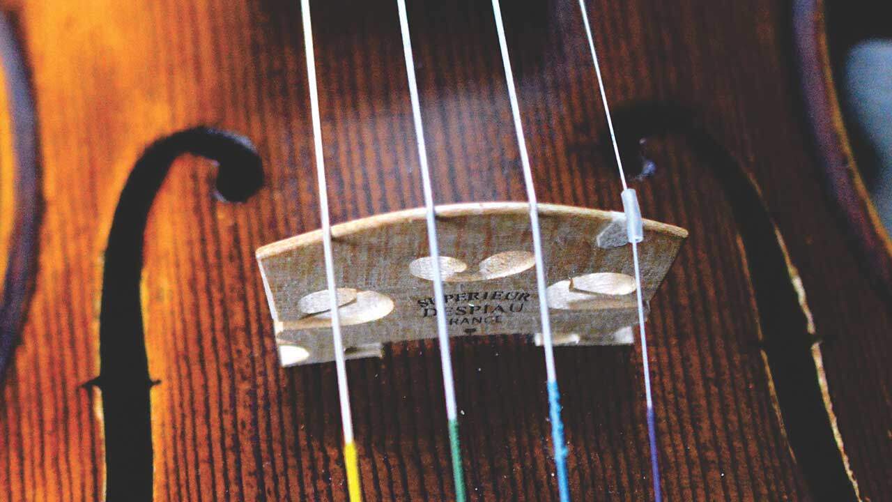 Violin bridge and strings