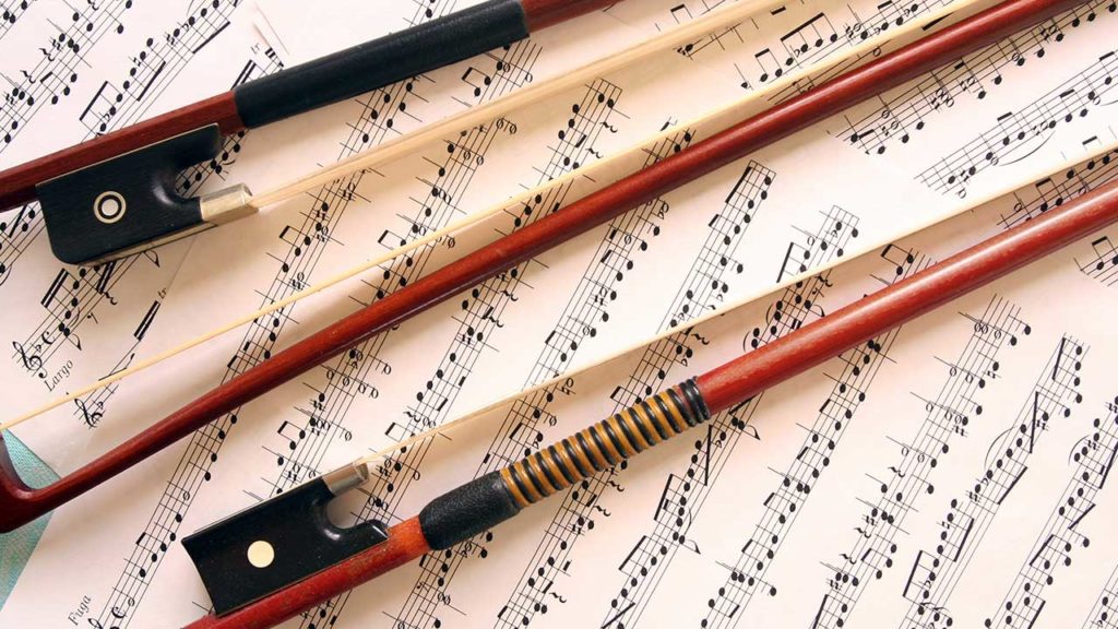 What Are Violin Bows Made Of? NewViolinist