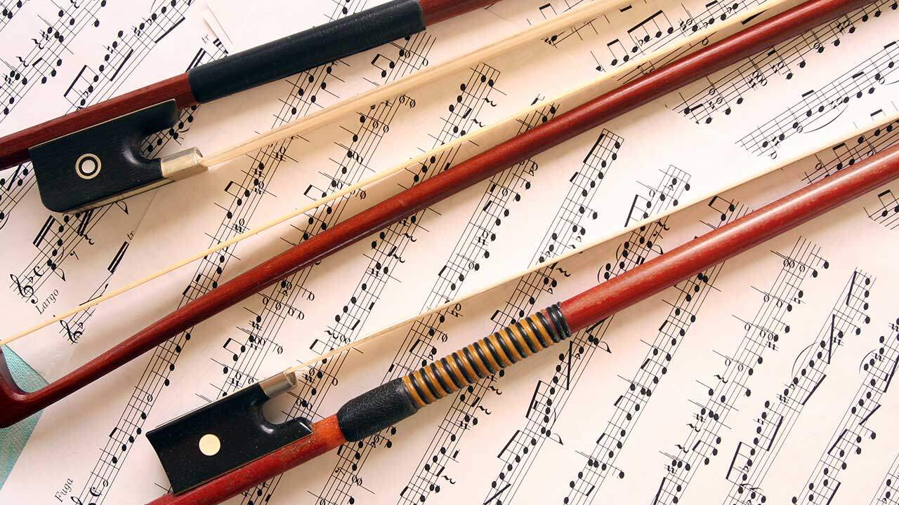 What Are Violin Bows Made Of?