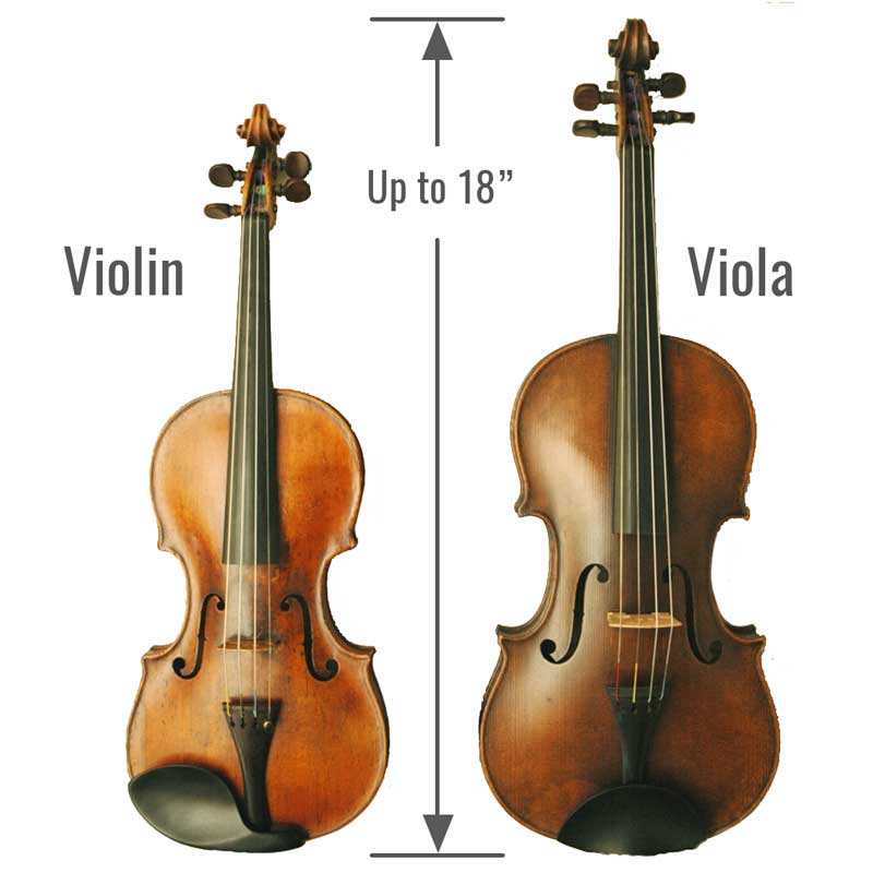 Viola vs Violin [What’s The Difference?] NewViolinist